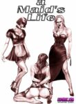 rule-34-A-Maids-Life-Lustomic-cartoon-porn-comic.jpg