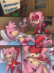 rule-34-A-Midnight-Visitor-Sonic-The-Hedgehog-TheOtherHalf-cartoon-porn-comic.jpg