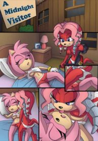 rule-34-A-Midnight-Visitor-Sonic-The-Hedgehog-TheOtherHalf-cartoon-porn-comic.jpg