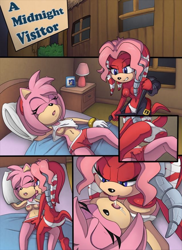 rule-34-A-Midnight-Visitor-Sonic-The-Hedgehog-TheOtherHalf-cartoon-porn-comic.jpg