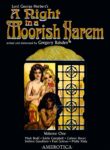 rule-34-A-Night-In-A-Moorish-Harem-Various-cartoon-porn-comic.jpg