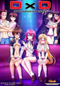 rule-34-How-Much-is-Your-Soul-Highschool-DxD-Palcomix-cartoon-porn-comic.jpg