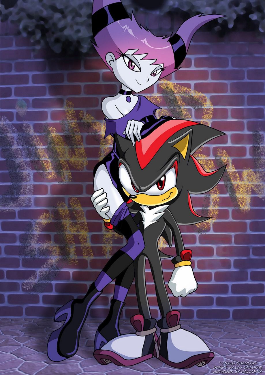 rule-34-Jinxed-Shadow-Sonic-the-Hedgehog-Teen-Titans-Palcomix-cartoon-porn-comic.jpg