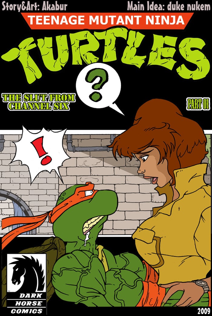 rule-34-The-Slut-From-Channel-Six-Teenage-Mutant-Ninja-Turtles-Akabur-cartoon-porn-comic.jpg