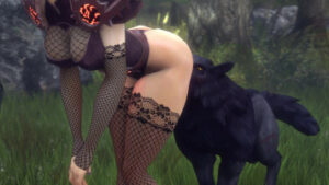 Assumi Dog Pack – Noname55
