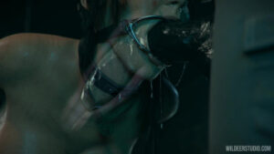 [Wildeerstudio] lara in trouble s01 e07 X-RAY
