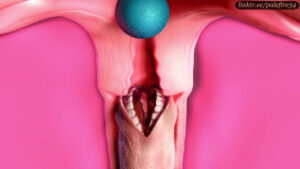 (X-ray) 2B’s pussy invaded by tentacle alien