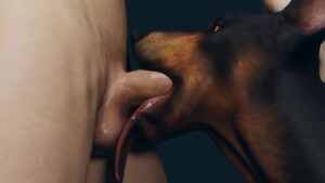 Dog’s Favourite Bone – Furjoe
