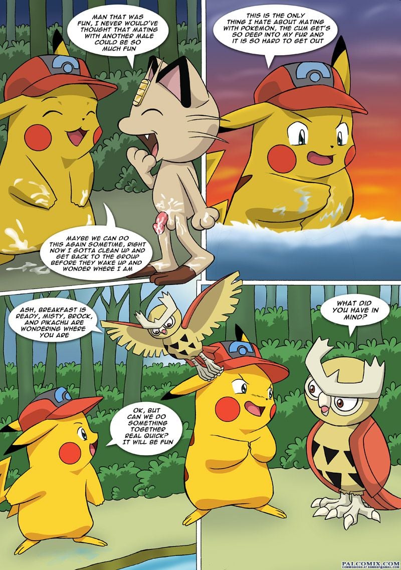 The New Adventures Of Ashchu (Pokemon) [PalComix] - Chapter 1 — Page 51