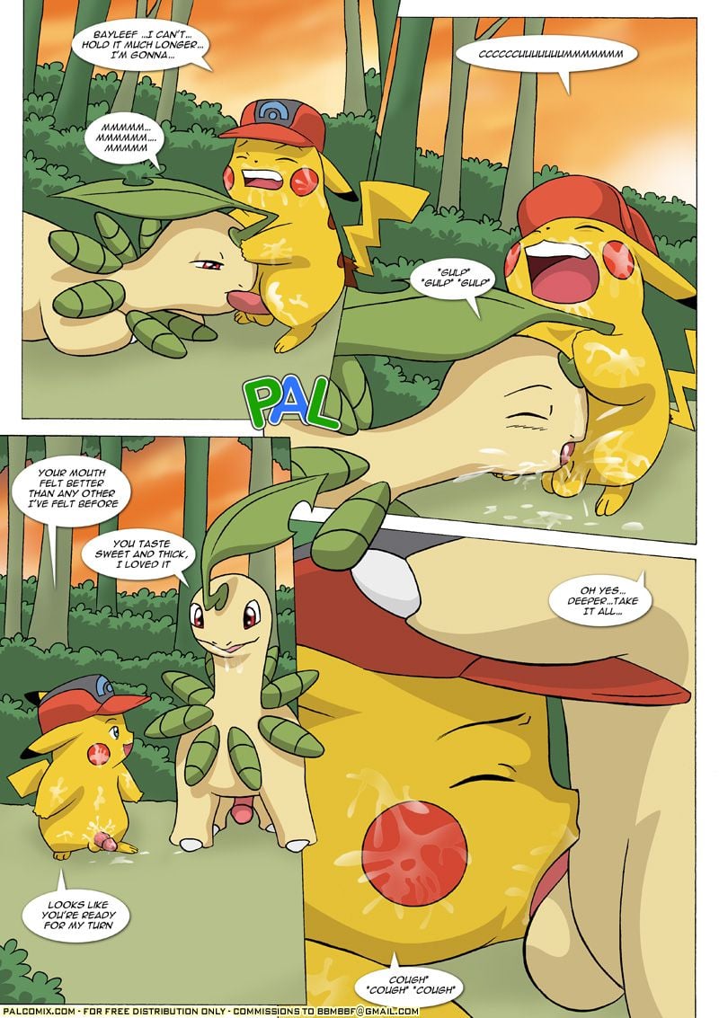 The New Adventures Of Ashchu (Pokemon) [PalComix] - Chapter 1 — Page 87