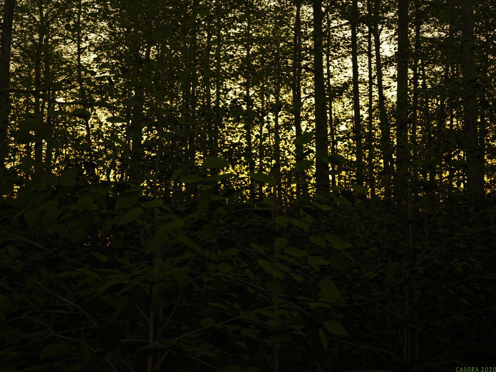 IT Follows [Casgra] - Chapter 1 — Page 58