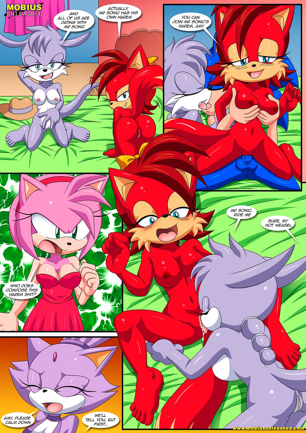 Burning Love (Sonic the Hedgehog) [Palcomix , Mobius Unleashed] - Chapter 1 — Page 12
