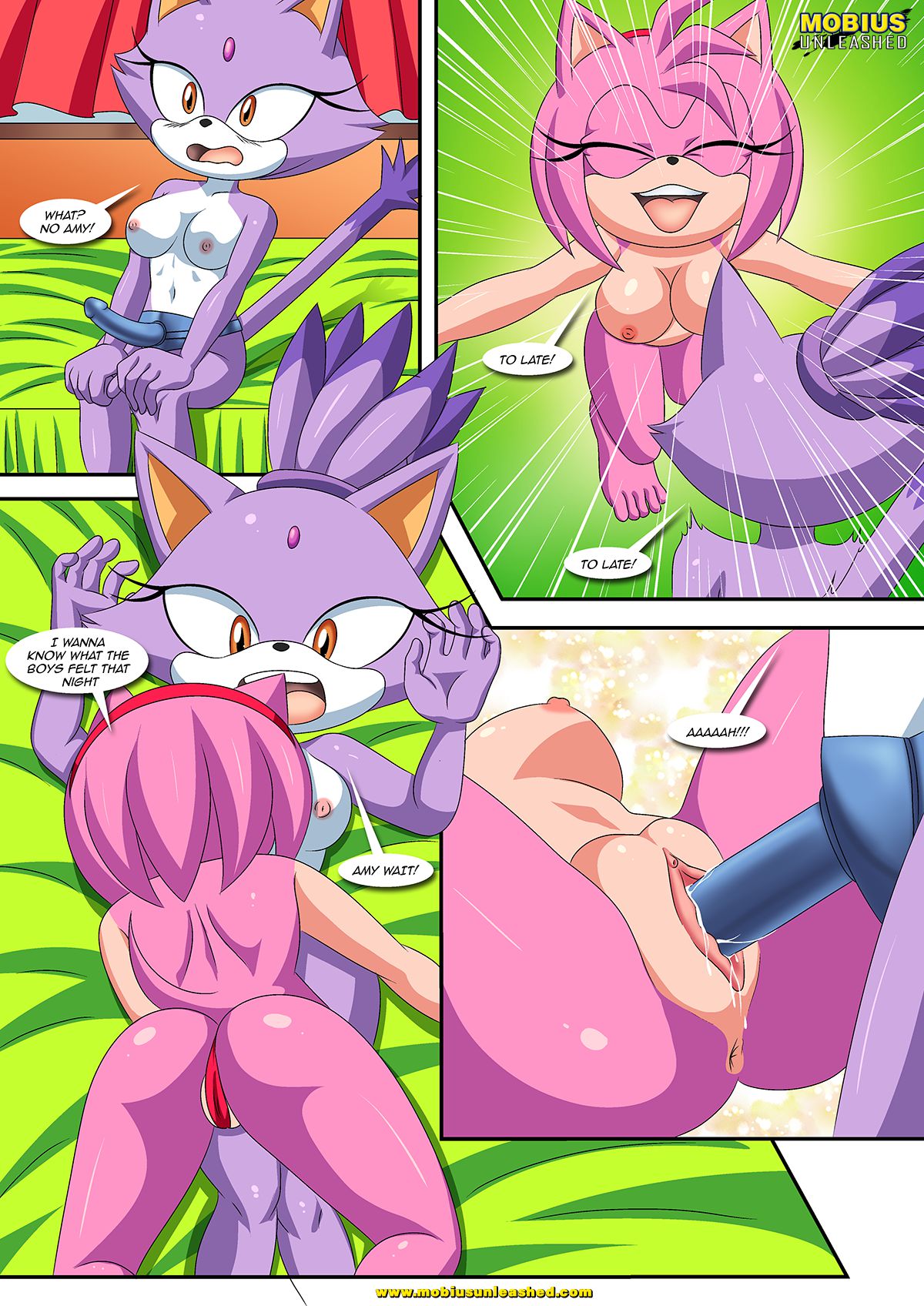 Burning Love (Sonic the Hedgehog) [Palcomix , Mobius Unleashed] - Chapter 1 — Page 33