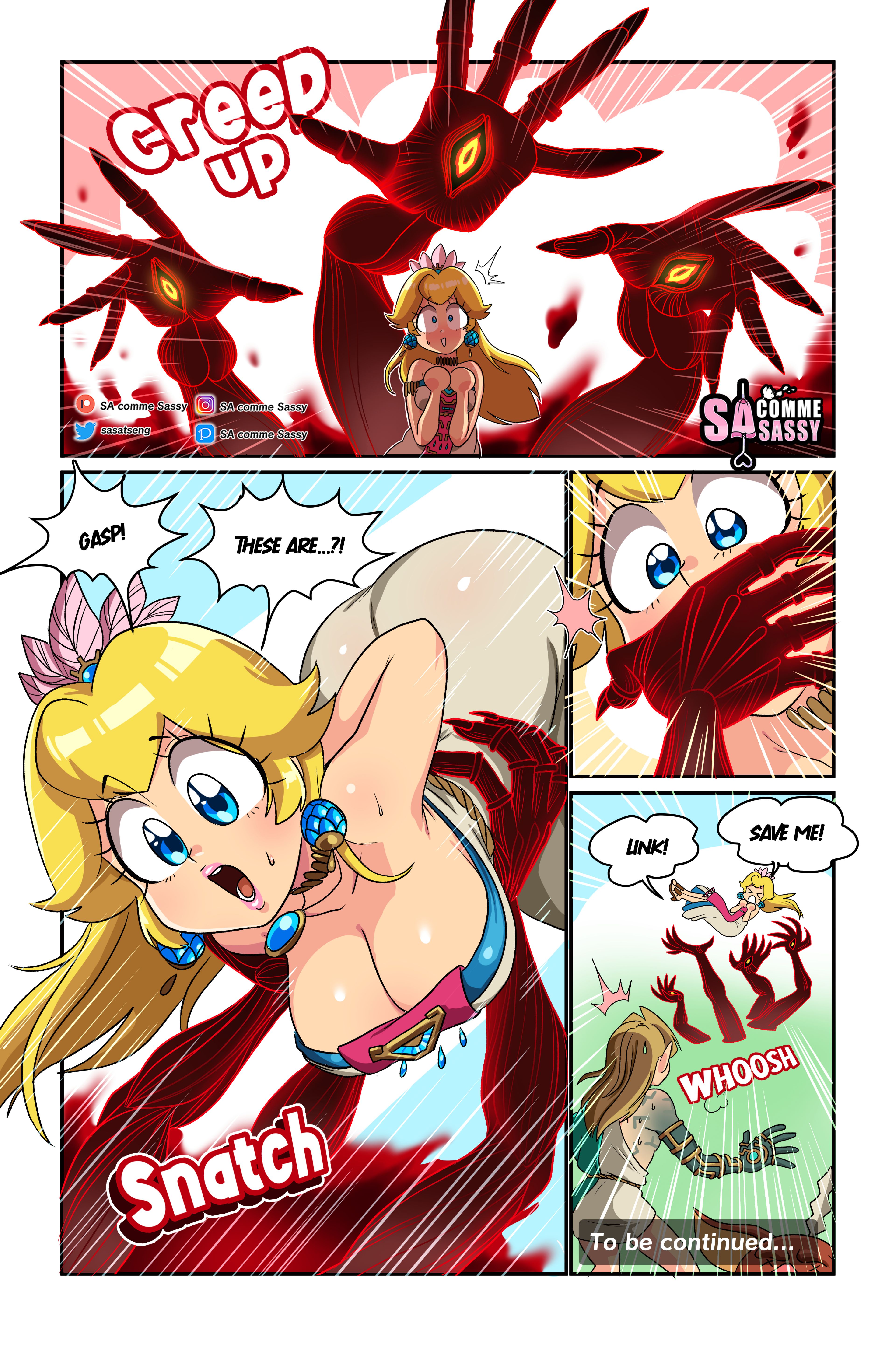 The Pseudo Princess (Mario ,The Legend of Zelda) [DconTheDanceFloor] - Chapter 1 — Page 8
